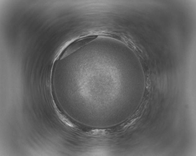 X0000059090052200510101155