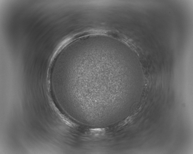 X0000059090053200510101155