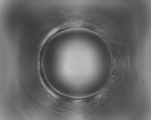 X0000059090054200510101155