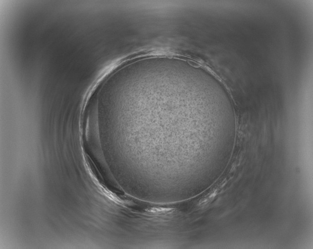 X0000059090055200510101155