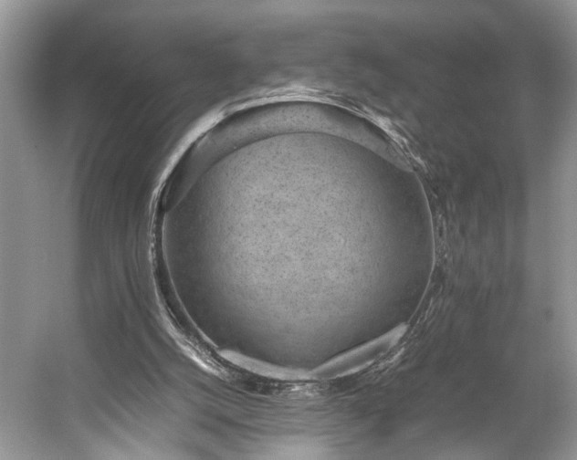 X0000059090056200510101155