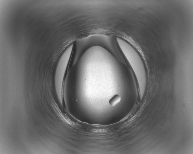 X0000059090057200510101155