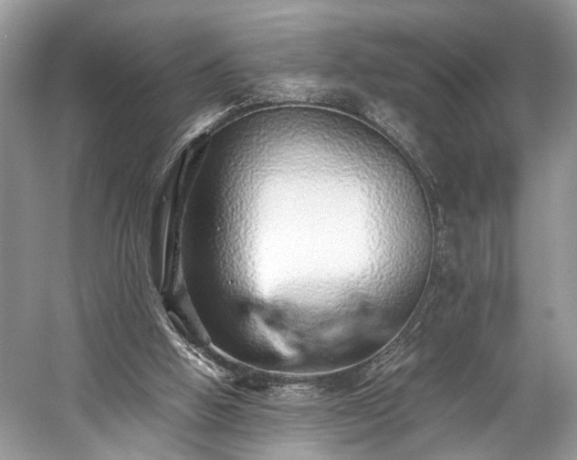 X0000059090058200510101155