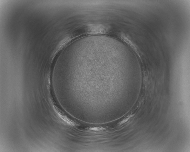 X0000059090059200510101155