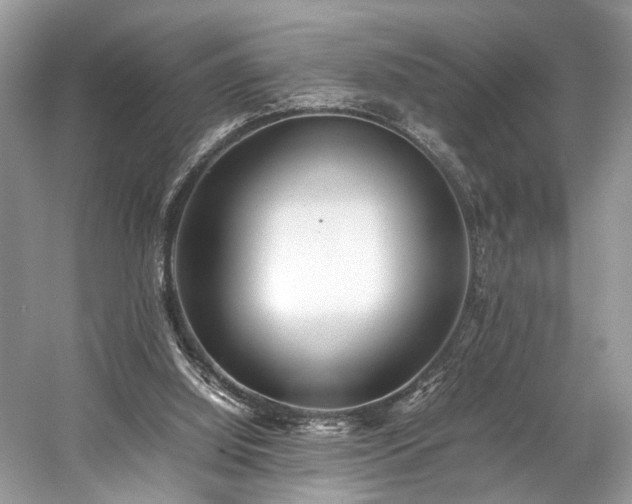 X0000059090060200510101155