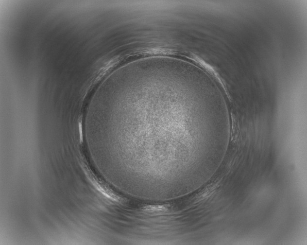 X0000059090061200510101155