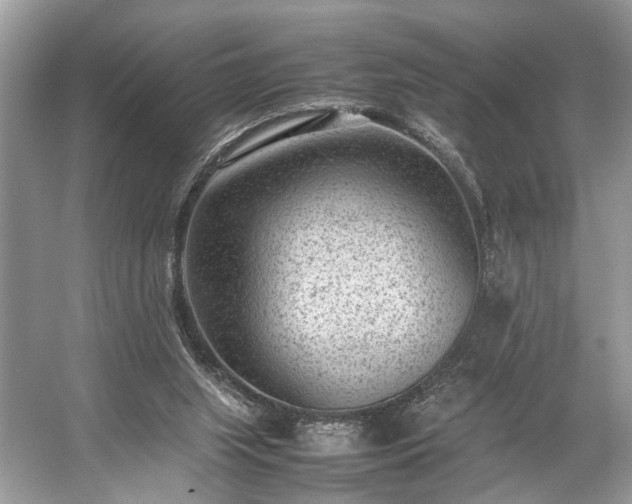 X0000059090063200510101155