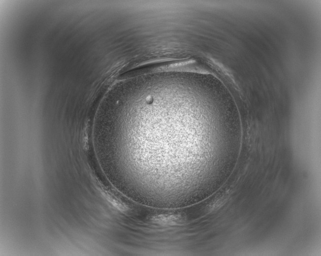 X0000059090065200510101155