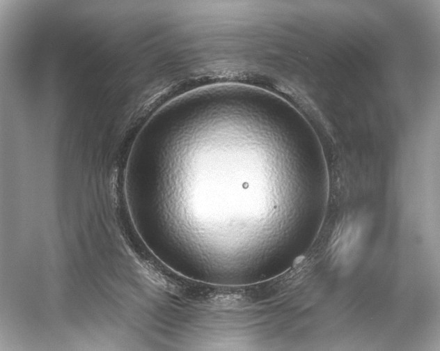 X0000059090066200510101155