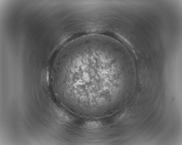 X0000059090067200510101155