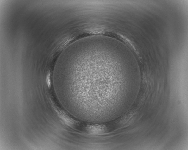 X0000059090069200510101155