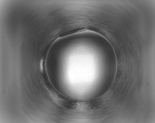 X0000059090070200510101155