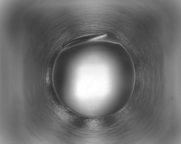 X0000059090074200510101155