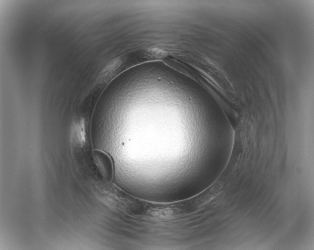 X0000059090075200510101155