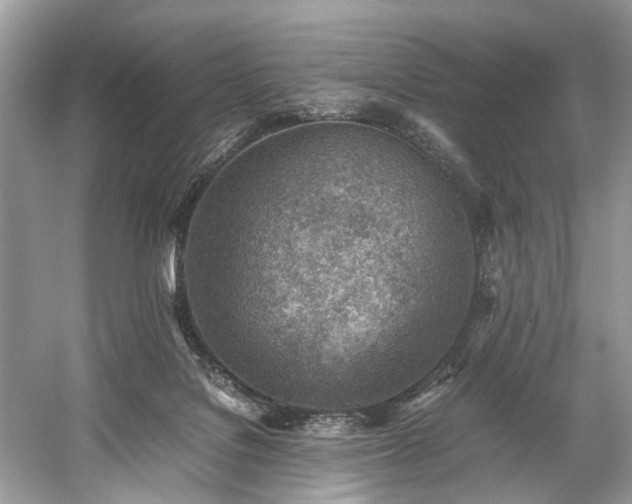 X0000059090076200510101155