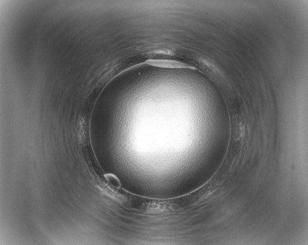 X0000059090077200510101155