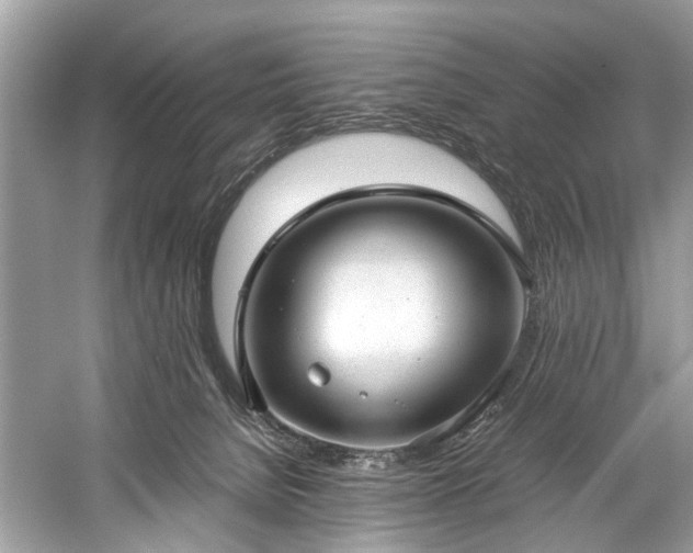 X0000059090080200510101156