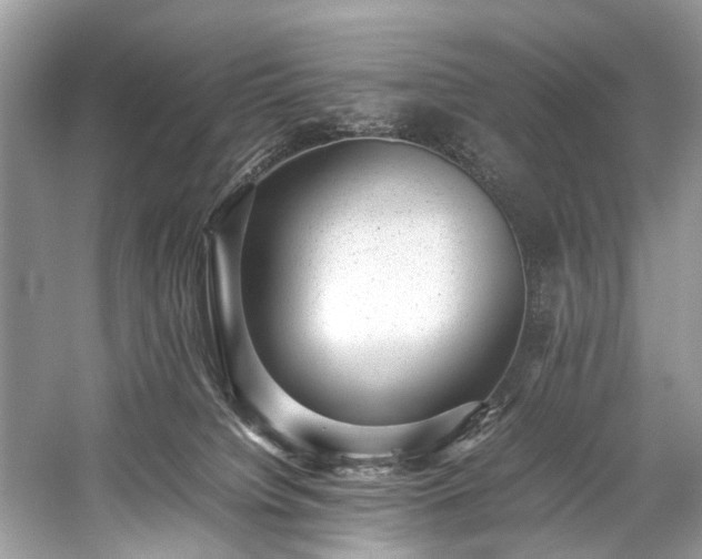 X0000059090084200510101156