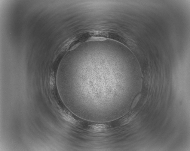 X0000059090085200510101156