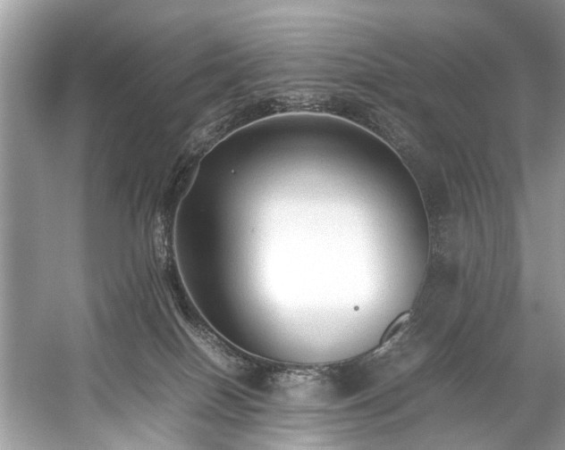 X0000059090086200510101156