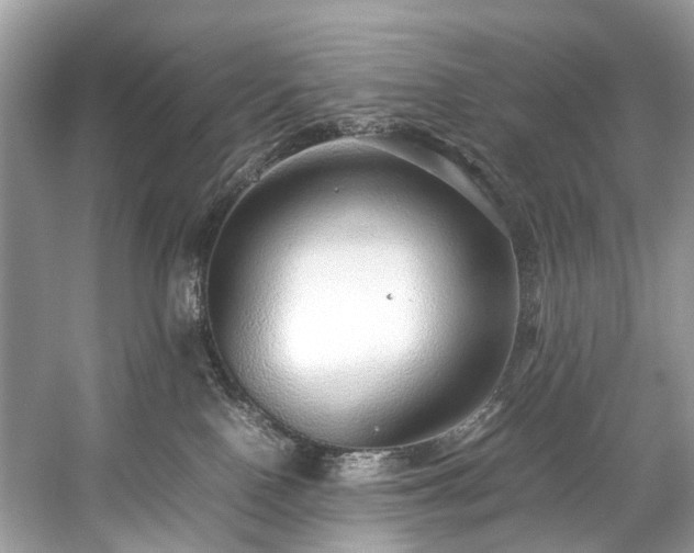 X0000059090090200510101156