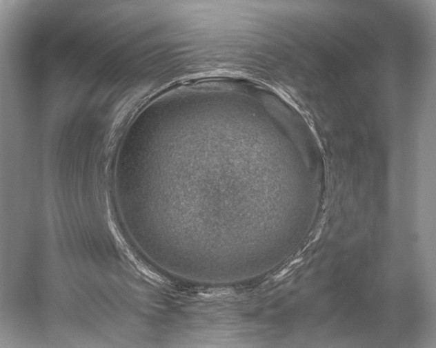 X0000059090097200510101155