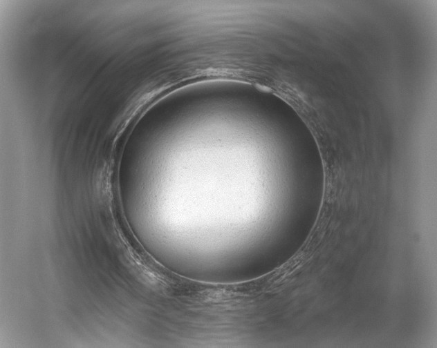 X0000059090098200510101155