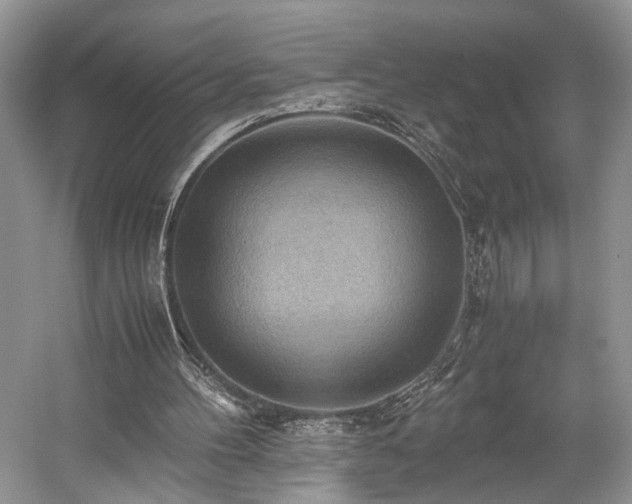 X0000059090100200510101155