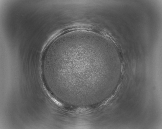 X0000059090101200510101155