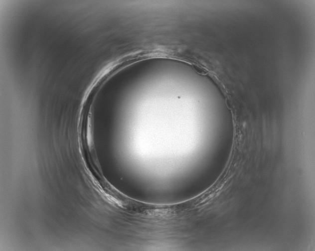 X0000059090102200510101155