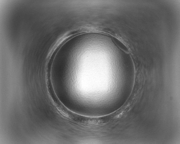 X0000059090103200510101155