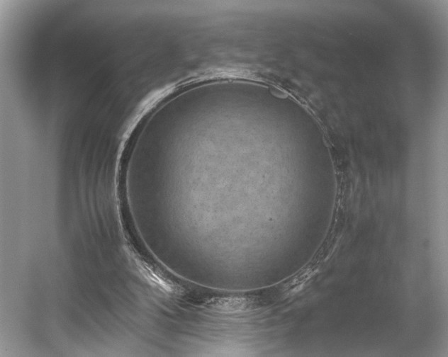 X0000059090104200510101155