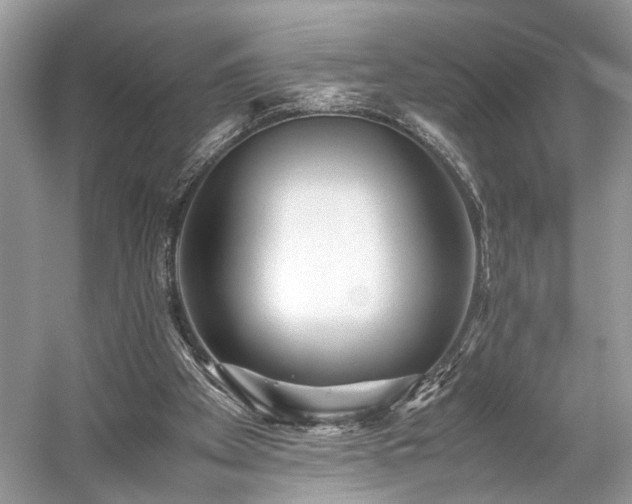 X0000059090105200510101155