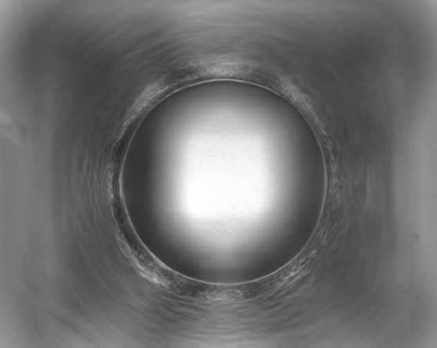 X0000059090106200510101155