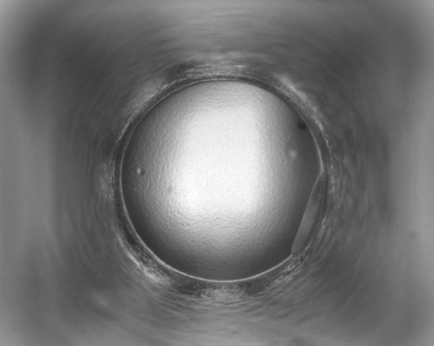 X0000059090107200510101155