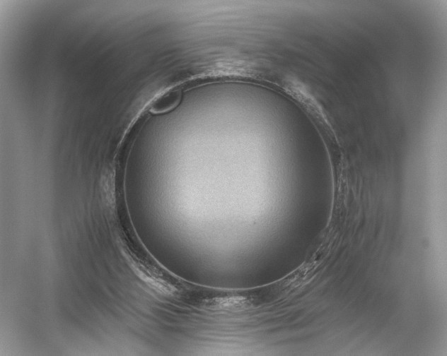 X0000059090108200510101155