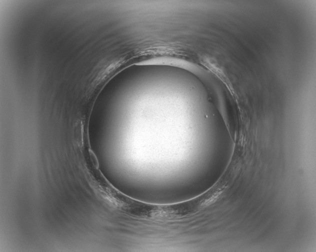 X0000059090109200510101155