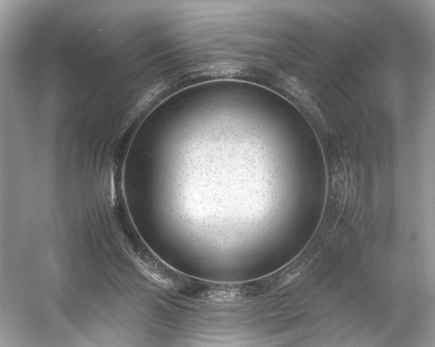 X0000059090110200510101155