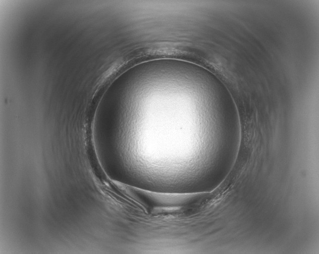 X0000059090111200510101155