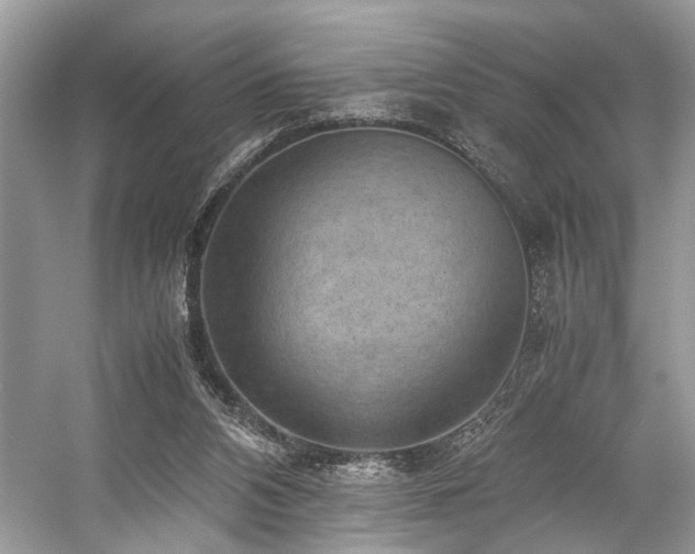 X0000059090112200510101155