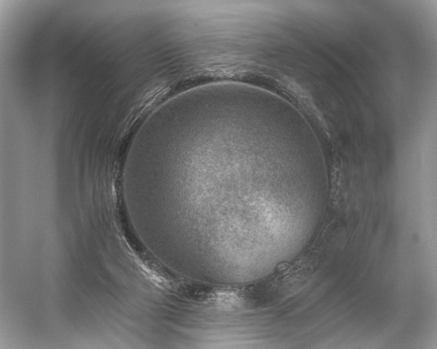 X0000059090114200510101155