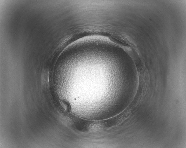 X0000059090115200510101155