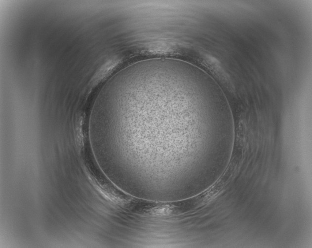 X0000059090116200510101155