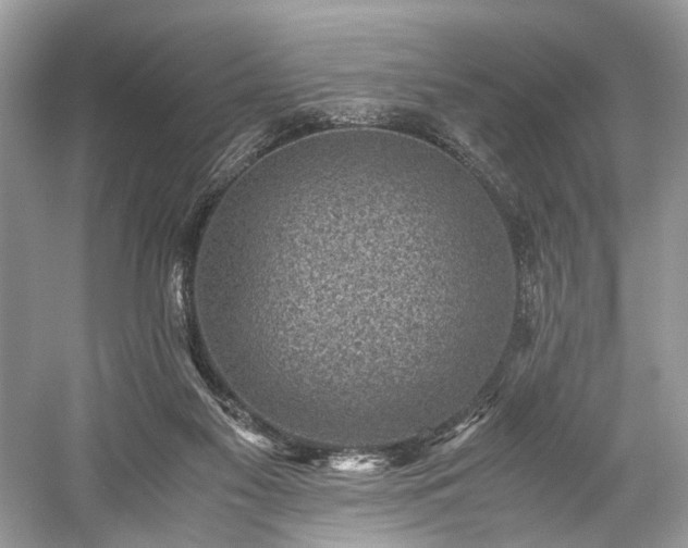 X0000059090117200510101155