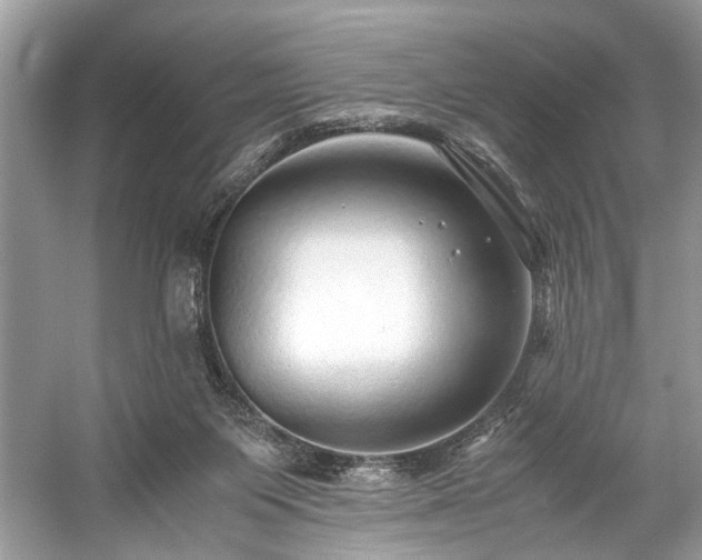 X0000059090119200510101155