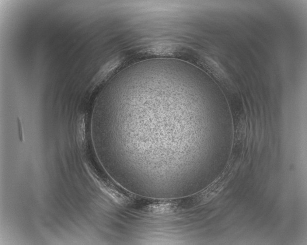 X0000059090120200510101155