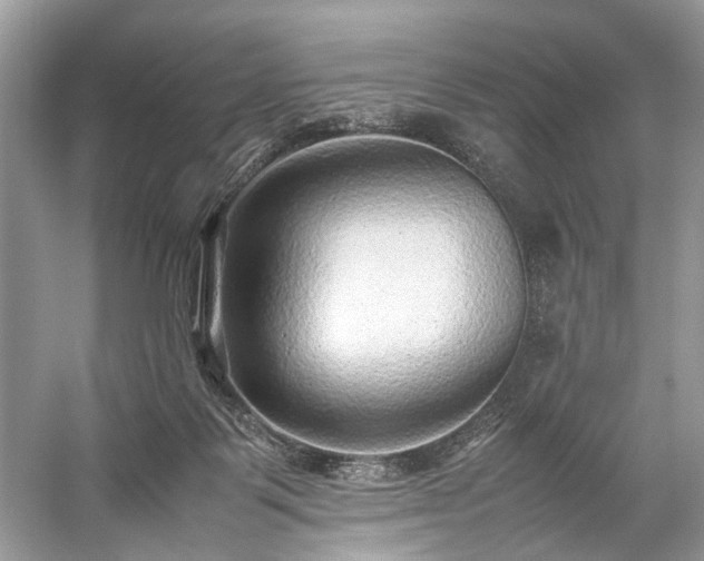 X0000059090123200510101155