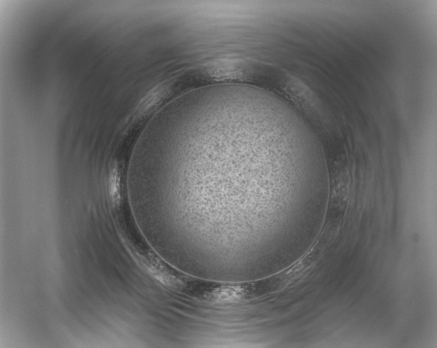 X0000059090124200510101155