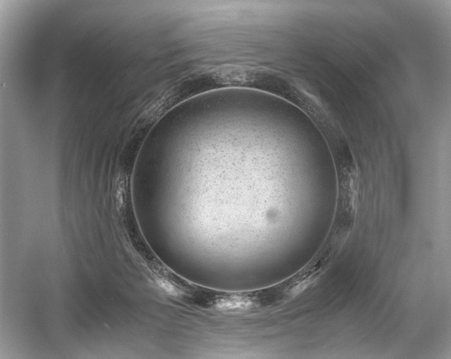 X0000059090125200510101155