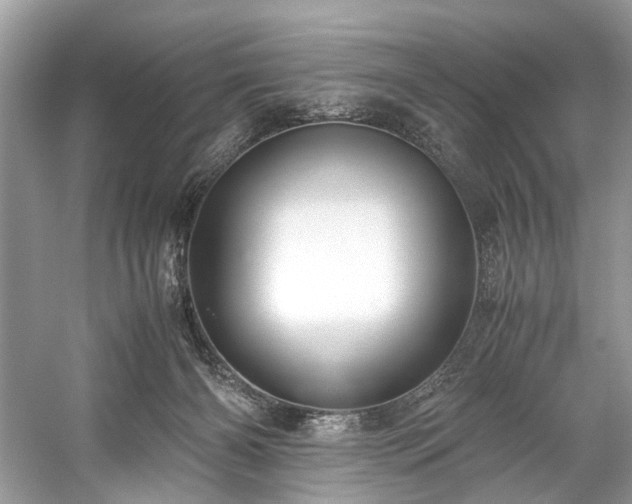 X0000059090126200510101154